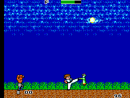 Kung Fu Kid Screenshot 1